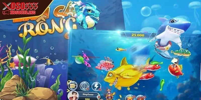 ban-ca-rong-chu-y-vao-hai-muc-tieu