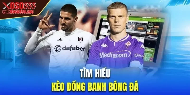 cach-bat-keo-bong-da-xoso333-dong-banh