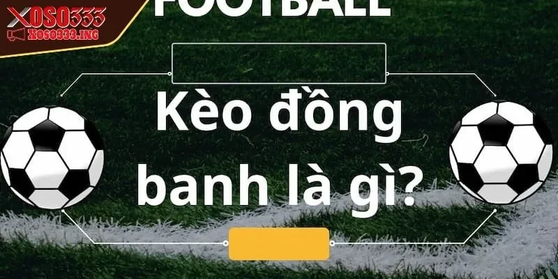keo-dong-banh-la-gi