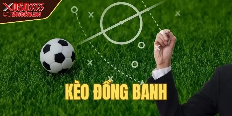 keo-dong-banh-loi-ich-cua-keo