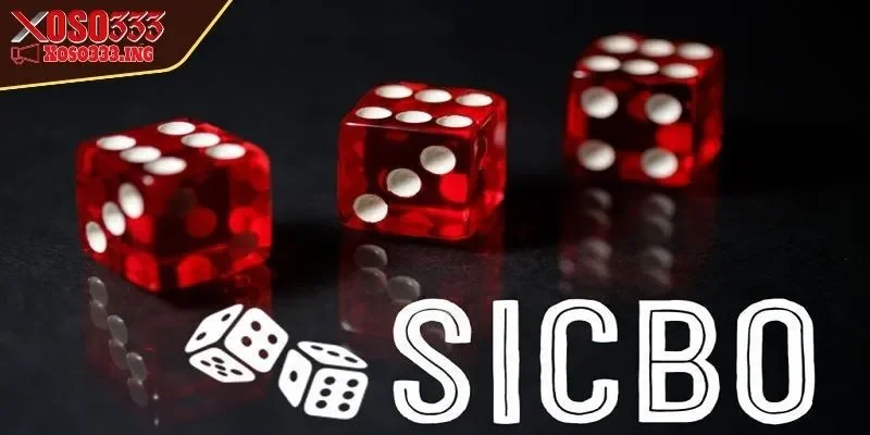 sicbo-xoso333-cuoc-doi