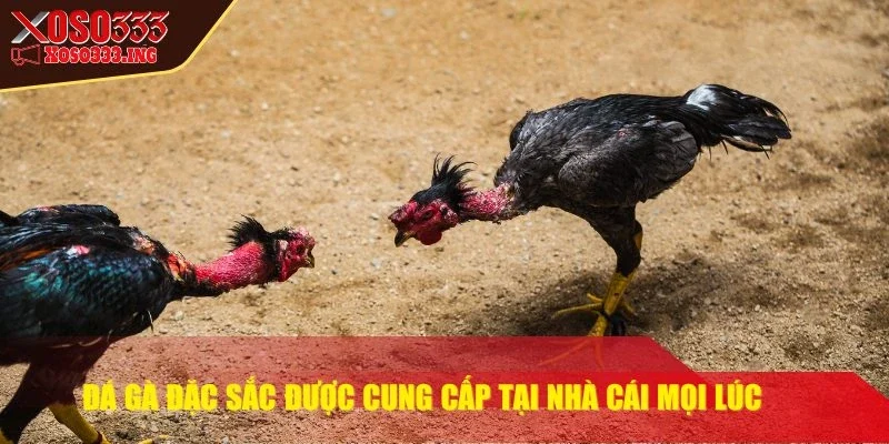 xoso333-da-ga