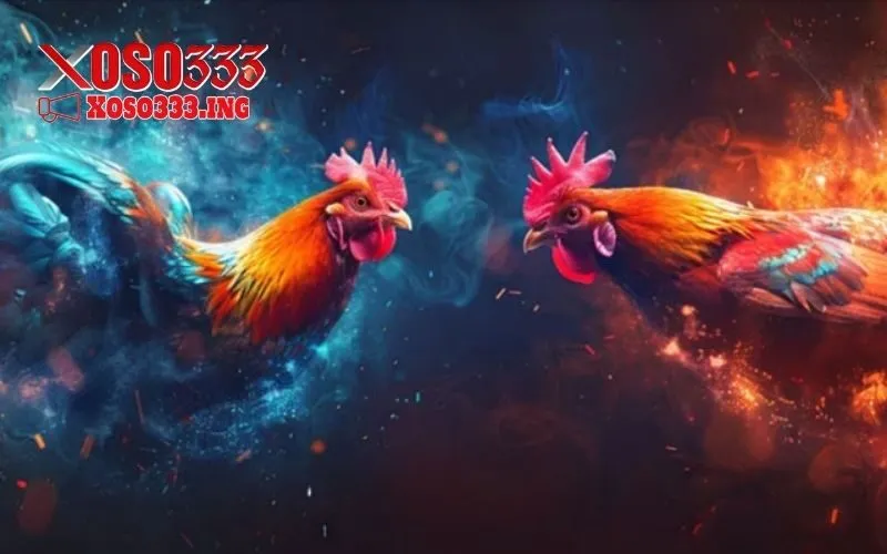 đá gà trực tiếp