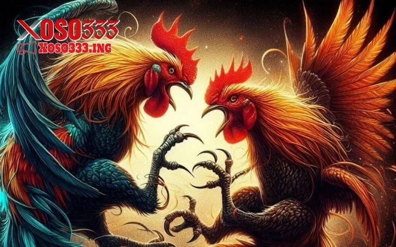 đá gà trực tiếp